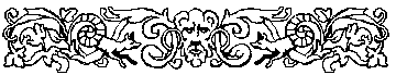lion border lion border